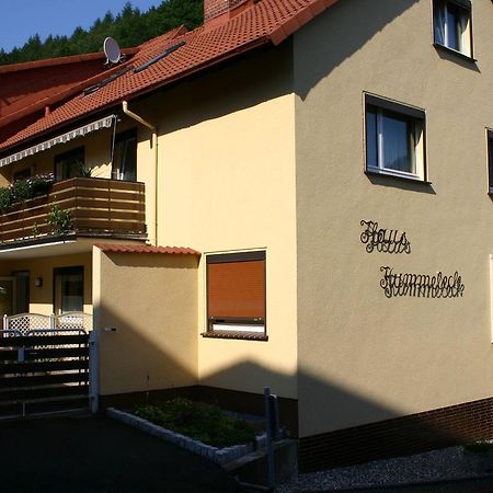 Haus Kummeleck , Wohnung 3 Bad Lauterberg im Harz Exterior foto