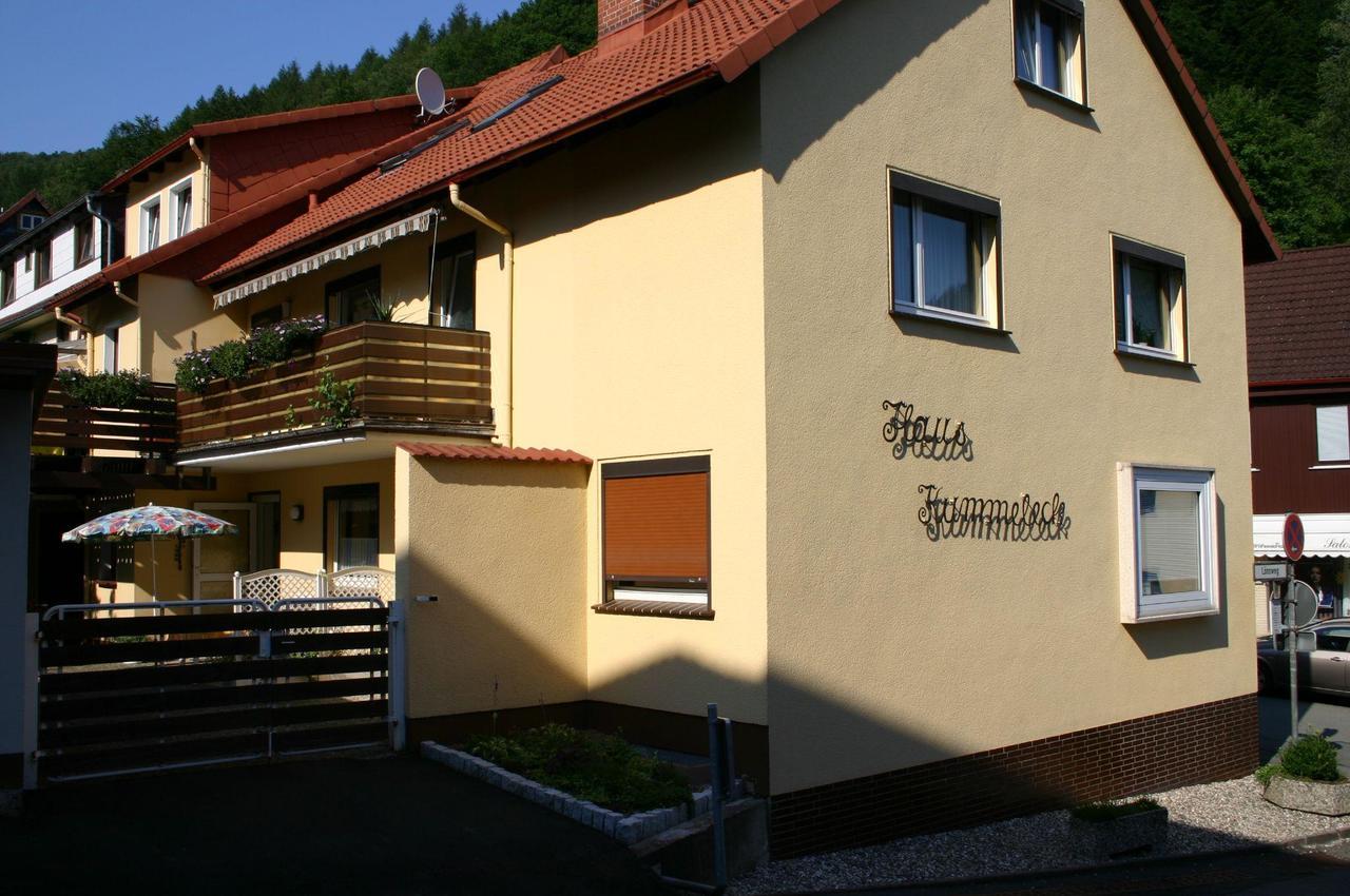 Haus Kummeleck , Wohnung 3 Bad Lauterberg im Harz Exterior foto
