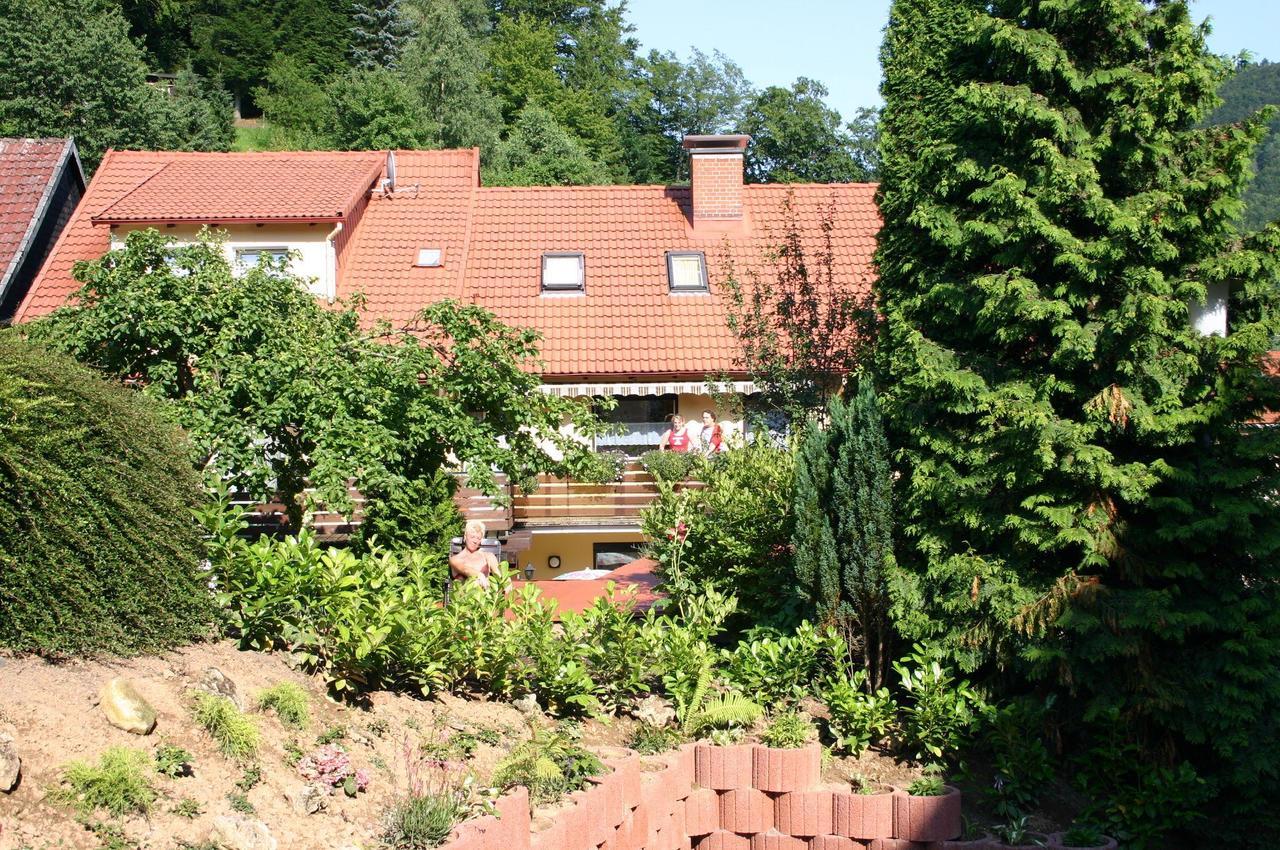 Haus Kummeleck , Wohnung 3 Bad Lauterberg im Harz Exterior foto
